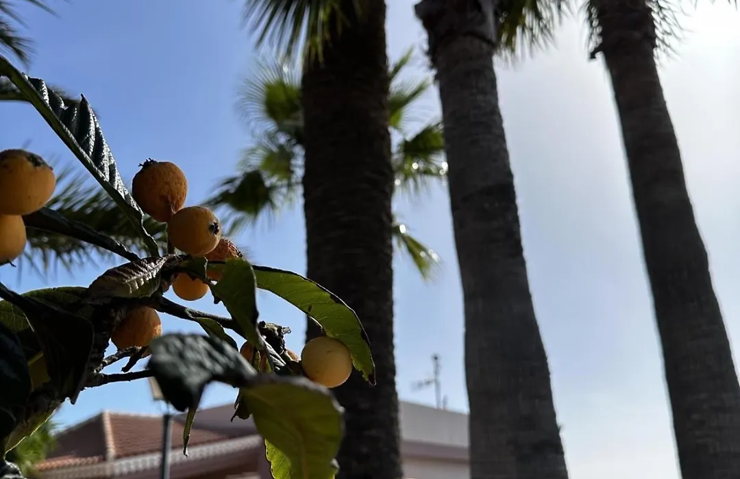 Casa La Quinta - Imegal Sl-1